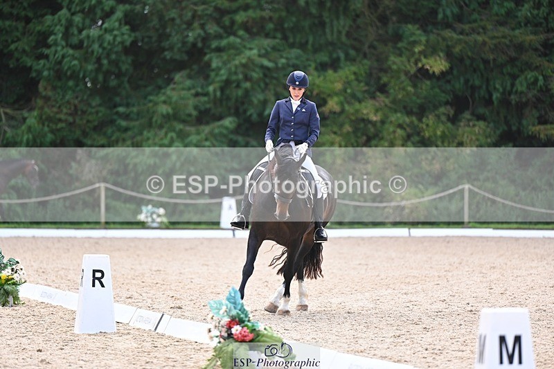 240809-141142-01799 - 200-Rebecca.Ezra-Maesmynach.Mr.Sam