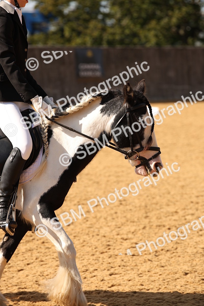 SBM_28095 - D11 - Small Tour Championship - Prelim 13