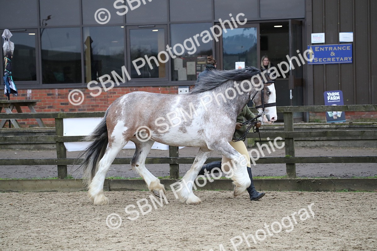 SBM_008036 - Class 15 - 18 - CHAPS Inc Championship