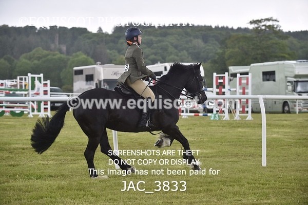 JAC_3833 - 65cm WORKING HUNTER