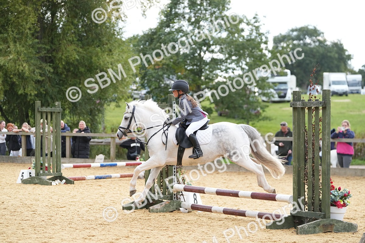 SBM_74680 - J4 - Mini Tour Junior Pony 45cm Championship