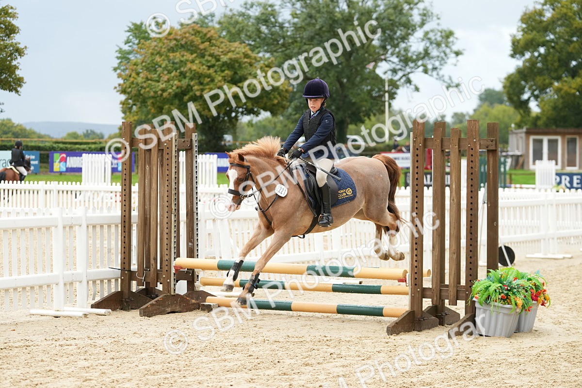 SBM_33405 - J5 - Junior Pony 50cm Championship