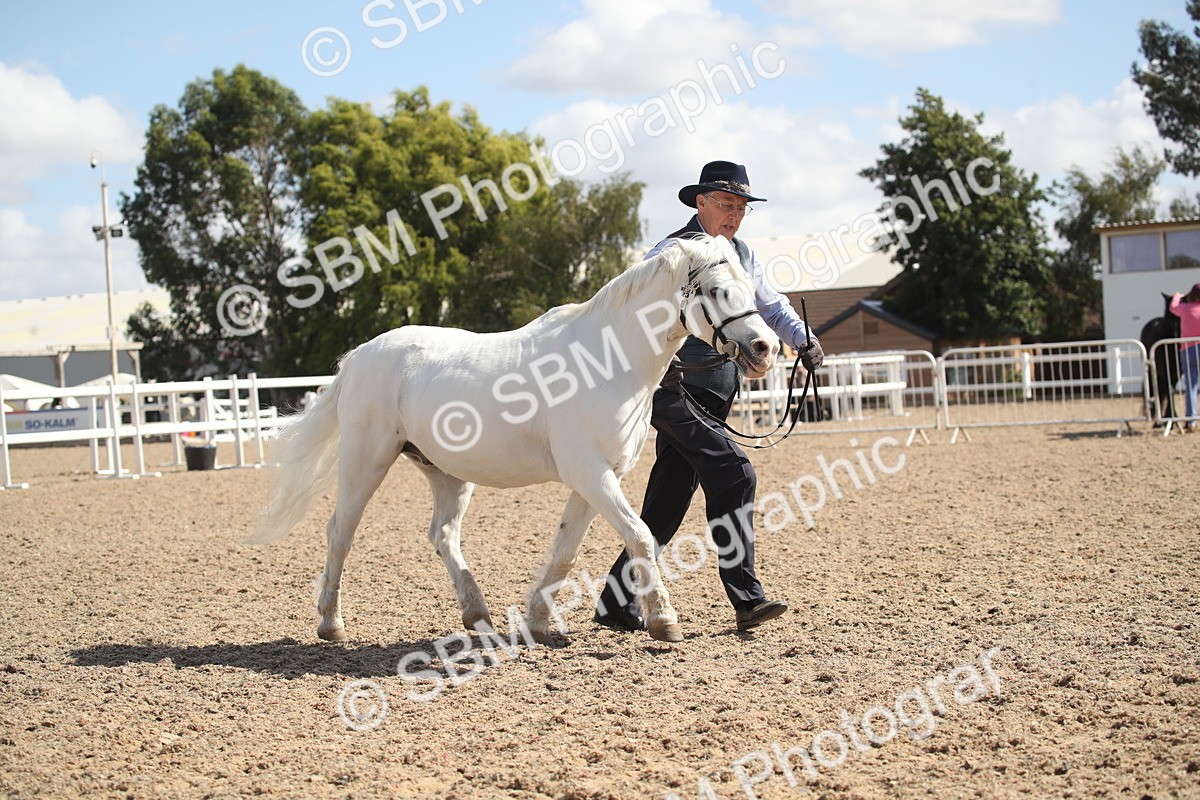 SBM_23540 - Class 605 - 2026 - Area - IH Veteran