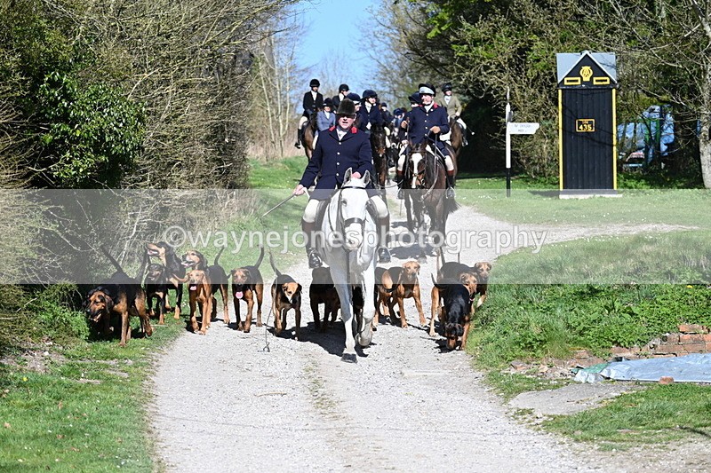 WJ7_9648 - Home for hunt tea !
