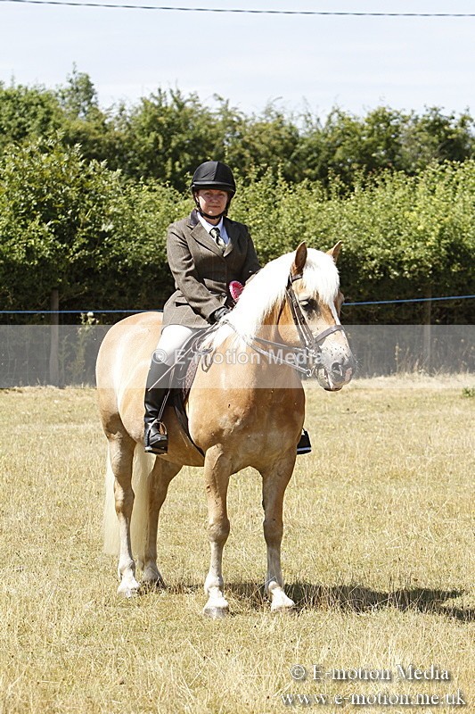 _BS_0873 - BVRC Show 2018 Ring 1