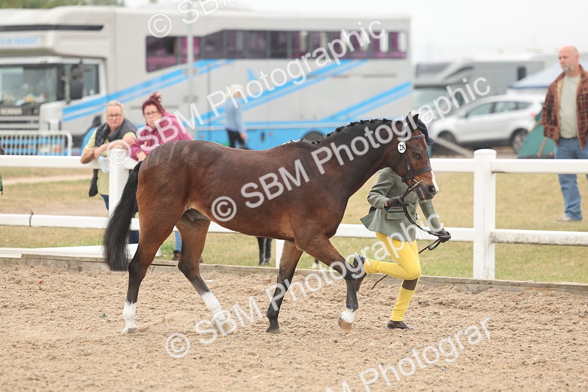 SBM_00472 - Class 13 Young Handler