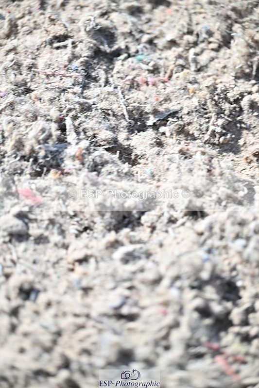 250924-131744-00398 - Cls 4 Newcomers and 1.10m Open