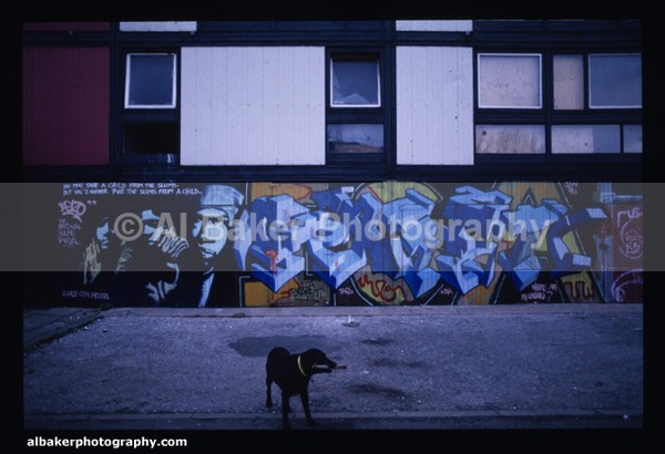 Bg34 - Graffiti Gallery (7)