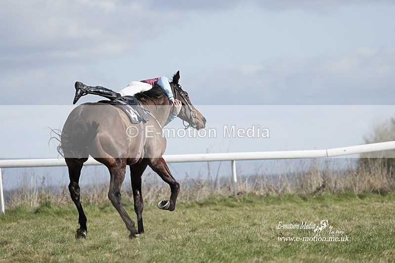 PtP 260223 511 - South & West Wilts Point-to-Point Larkhill 26/02/23