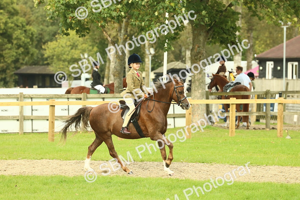 SBM_69893 - S59 - Mountain & Moorland Ridden Small Breeds