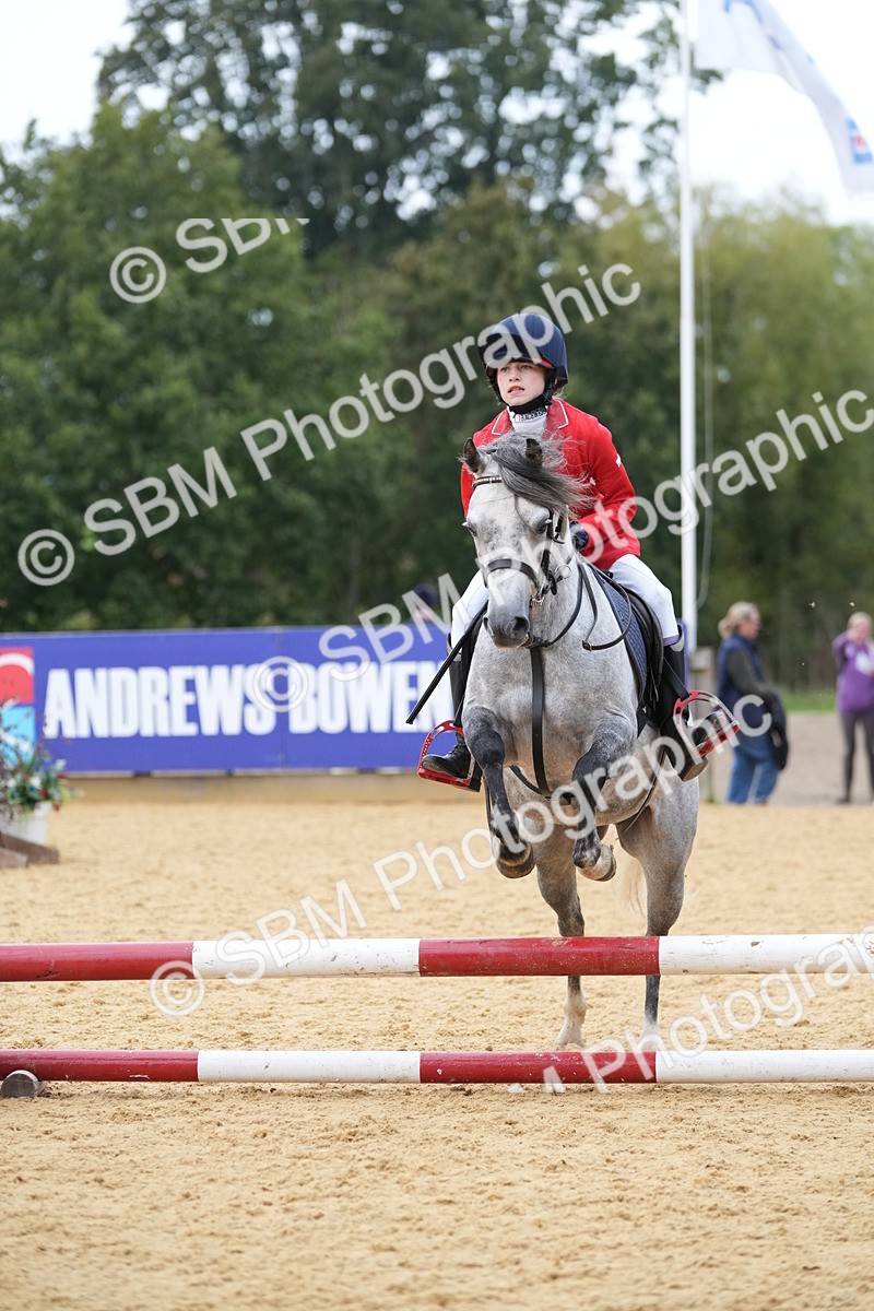 SBM_74853 - J4 - Mini Tour Junior Pony 45cm Championship