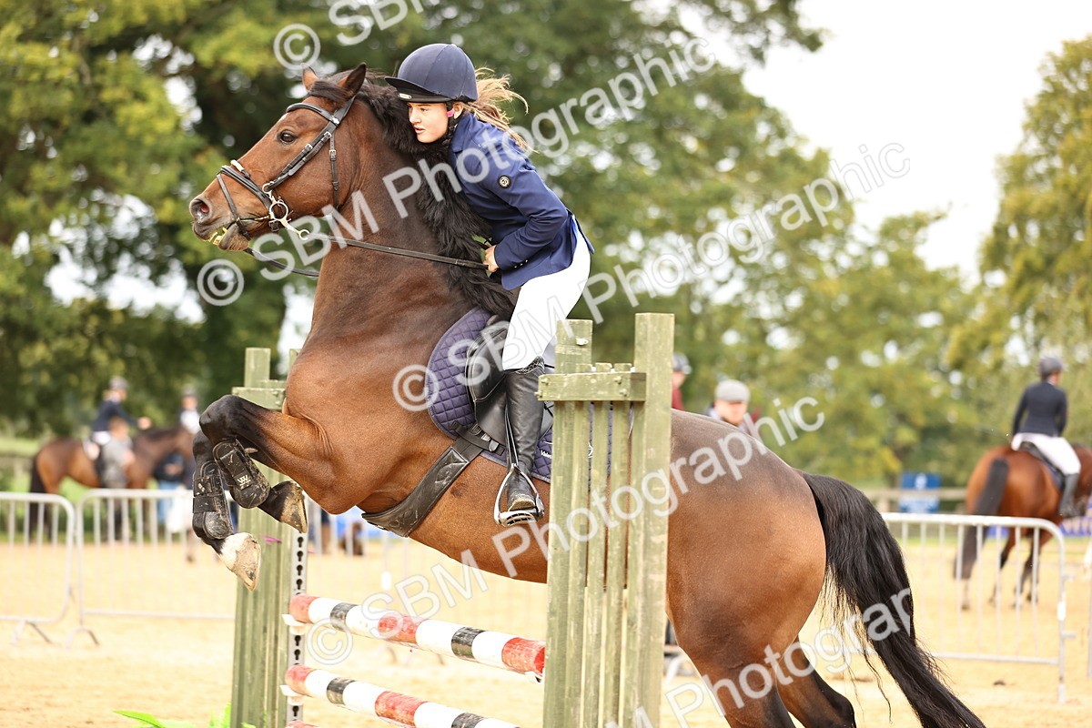 SBM_58510 - J41 - Grand Tour Horse & Pony 95cm