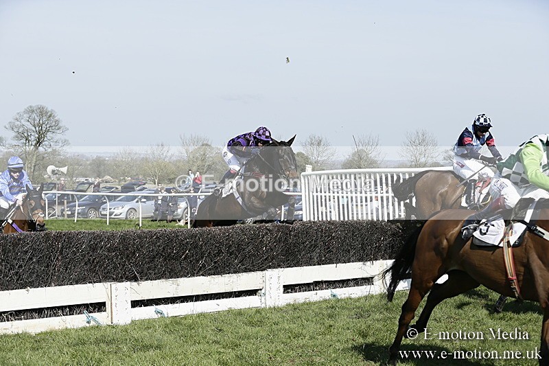 PtP 260317 215 - Mendip Farmers Point-to-Point Ston Easton 26/03/17