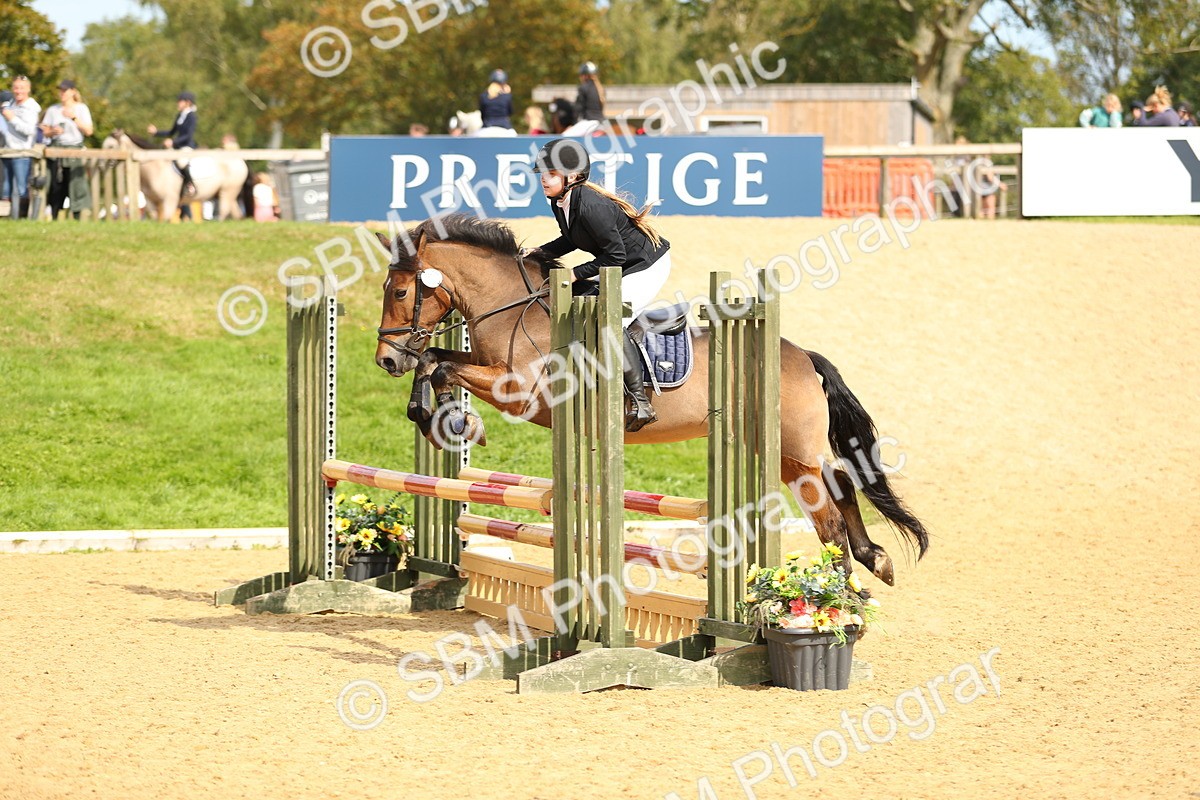 SBM_66206 - J17 - Junior Pony 80cm Championship