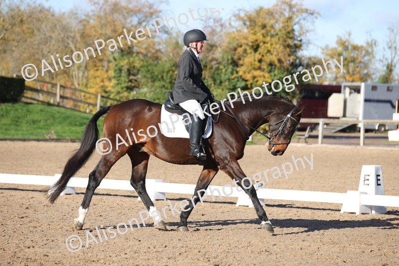 20251102-0505 - Class 3 - Novice 5