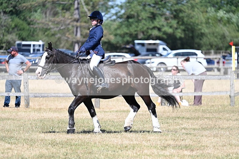 WJ7_3682 - Class 8 Ridden Veterans