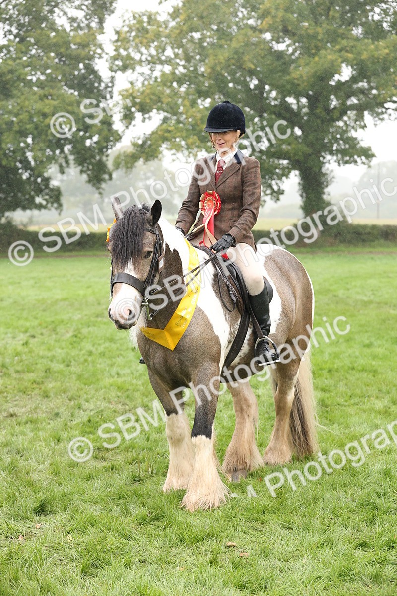 SBM_72949 - Ridden Horse Supreme Championship