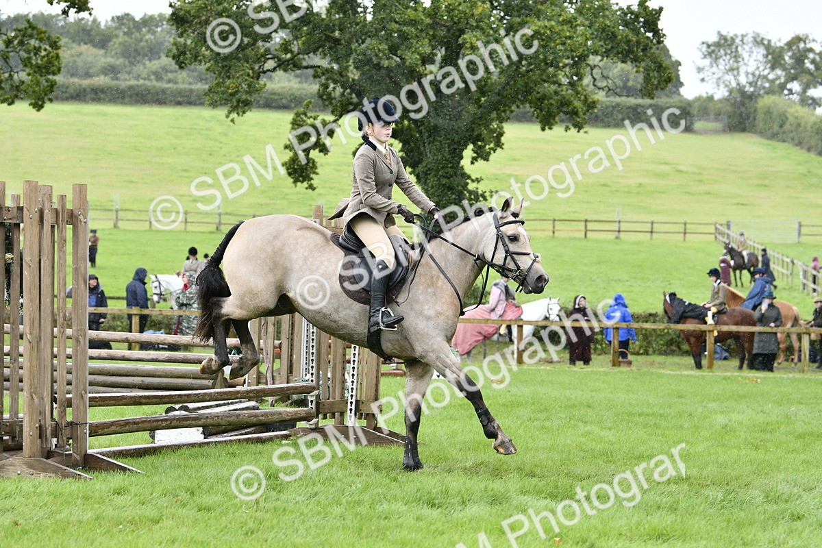 SBM_41440 - S32 - Mountain & Moorland Working Hunter Pony