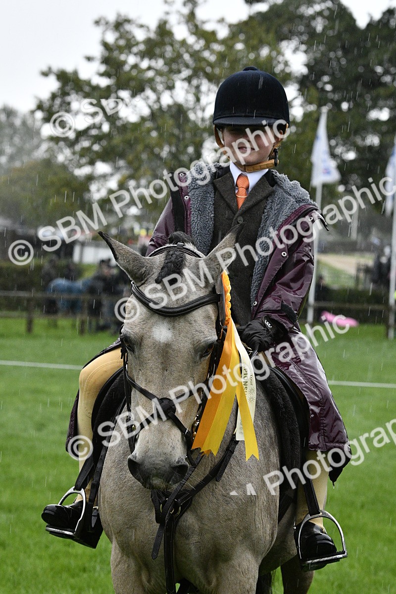 SBM_35596 - S30 - Nursery Stakes Working Hunter Pony