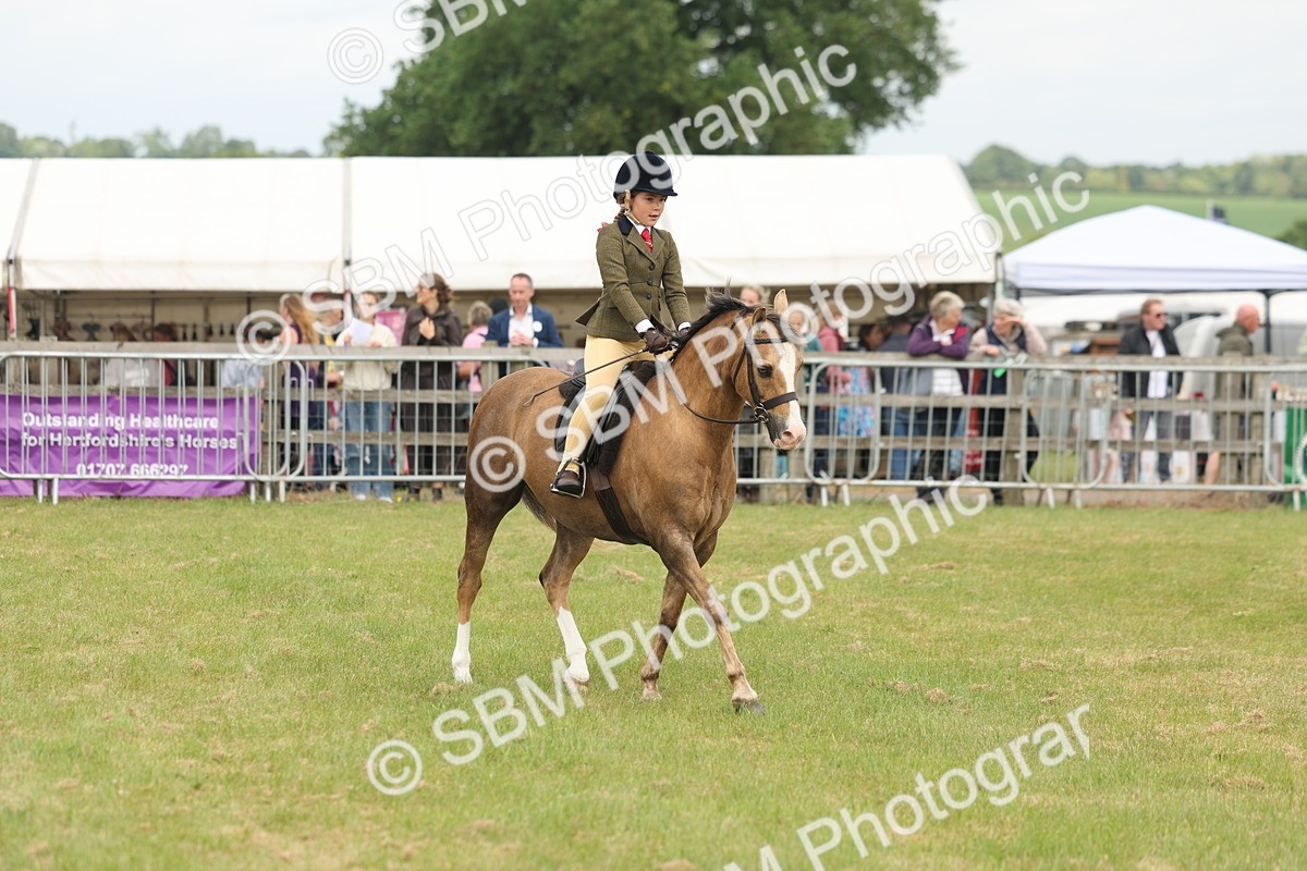 SBM_06871 - Class 74-75 - M&M Lead Rein and First Ridden Pony
