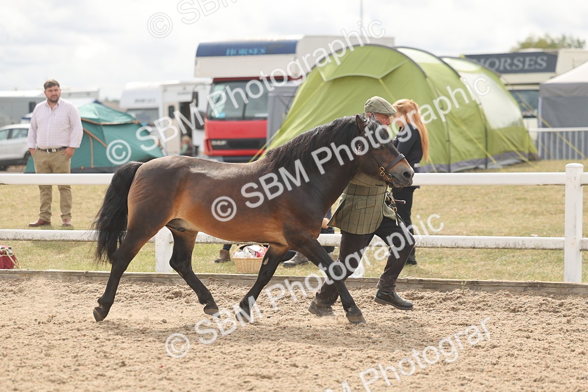SBM_04950 - Class 20 - IH Veteran