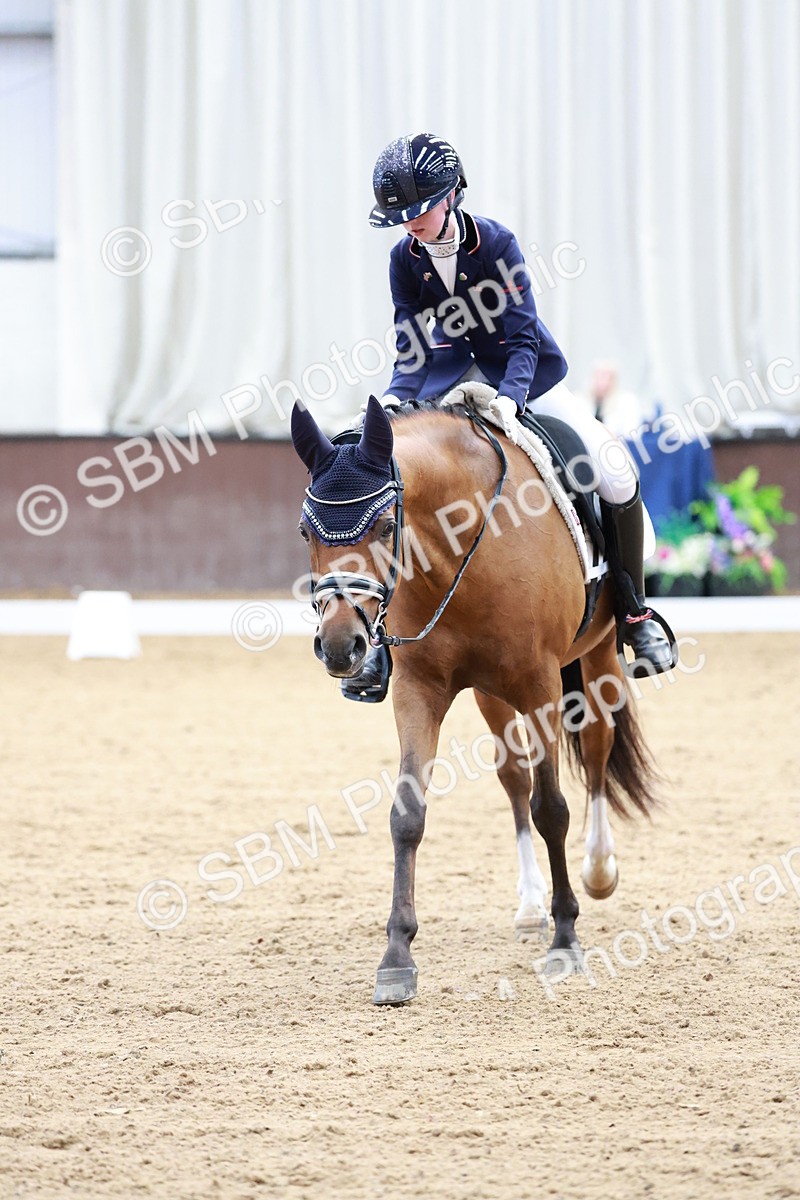 SBM_017291 - Class15 - FEI Pony