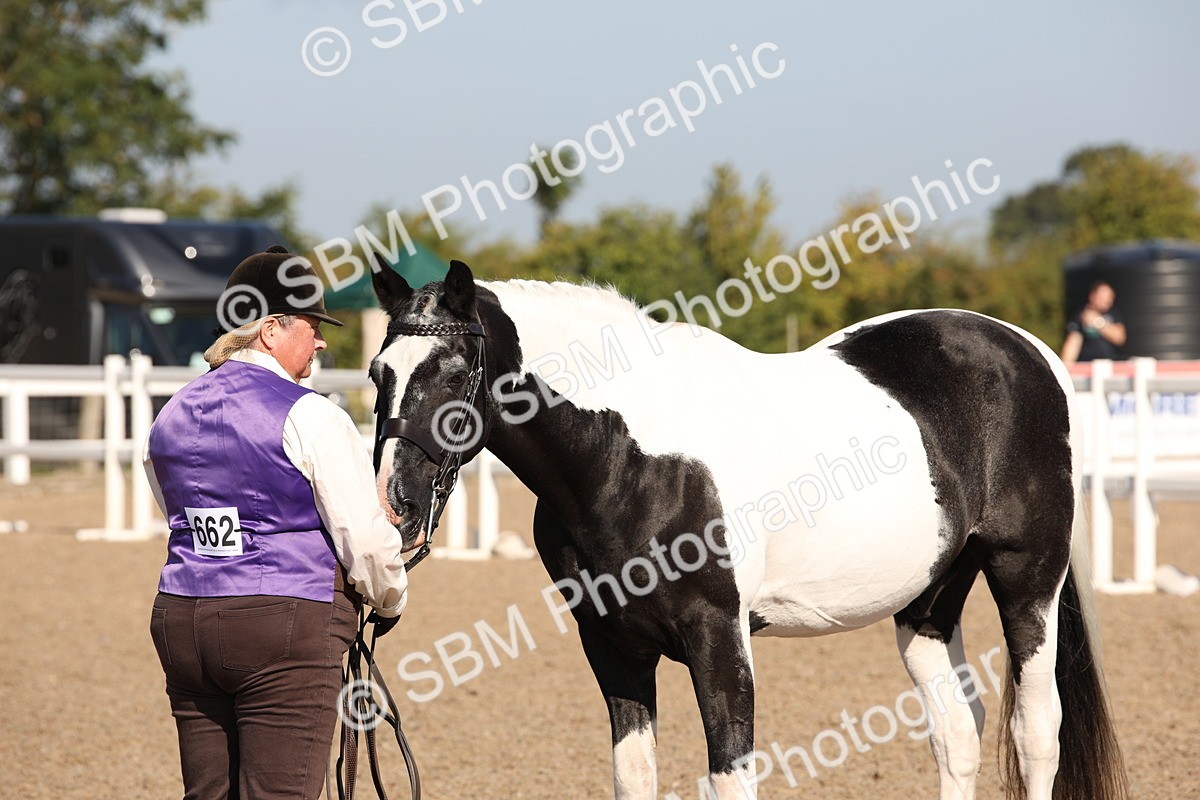 SBM_01497 - Class 15 IH Coloured