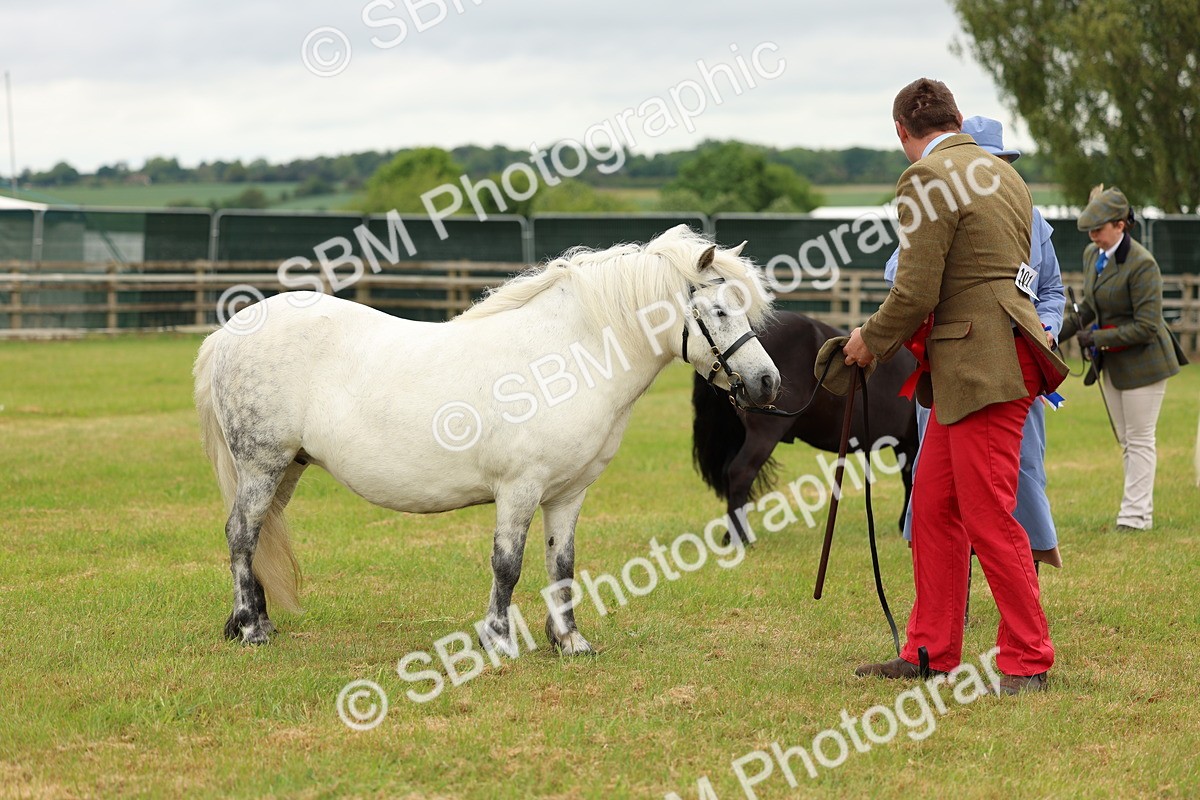 SBM_03523 - Class 58-67 - M&M Non Welsh Pony In hand