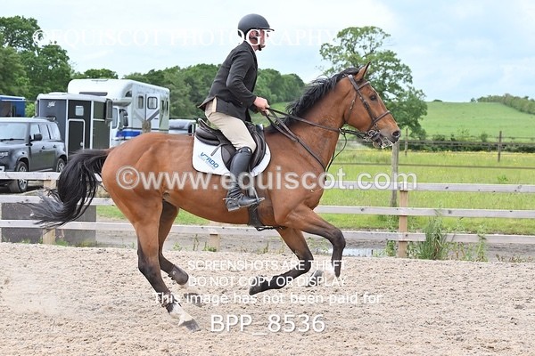 BPP_8536 - CLASS 15 SUN Senior Newcomers/ 1.10m Open