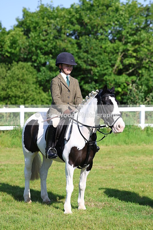 3E7A6018 - Class 27: Novice Working Hunter Pony