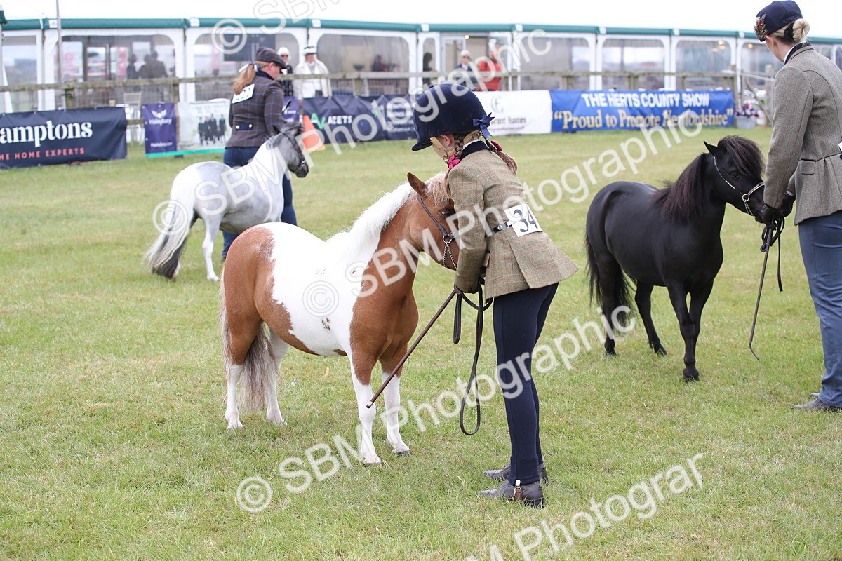 SBM_04009 - Class 23-25 - British Miniature Horse of the Year