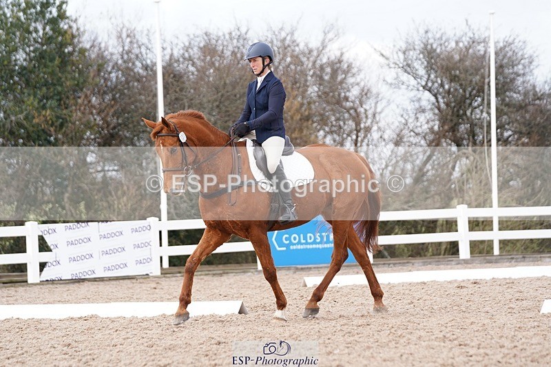 250322-131452-00469 - DR Elementary 2 Test