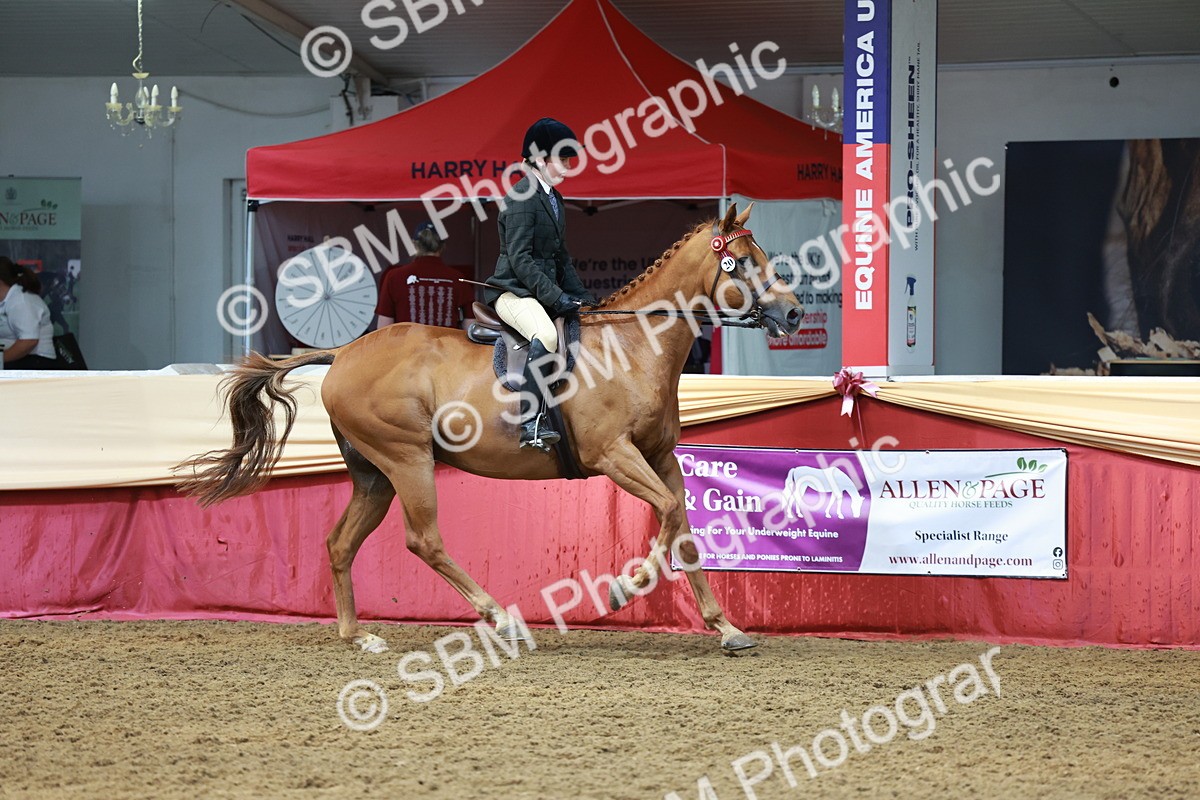SBM_14936 - Class 108 - Ridden Retired Racehorse