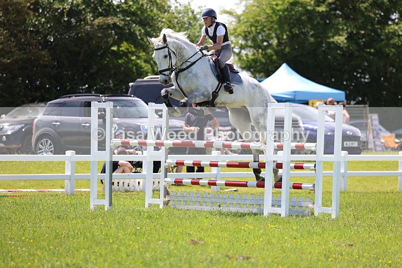 3E7A1247 - Class 12: Senior Foxhunter/1.20 open