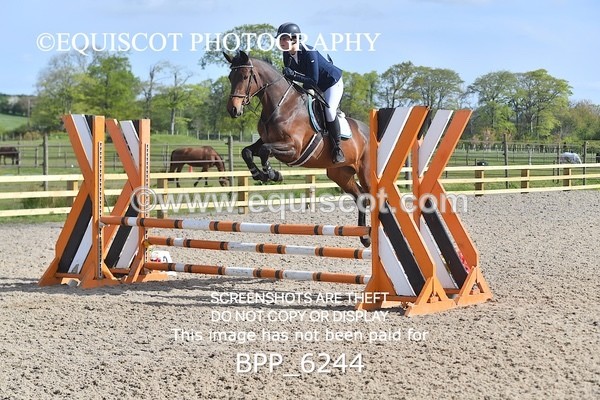 BPP_6244 - CLASS 32 MON Club/ Unaffiliated 80cms Open