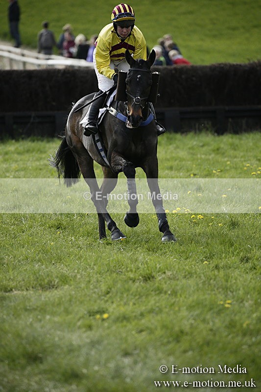 PtP 170417 435 - Old Berks Point-to-Point Lockinge 17/04/17