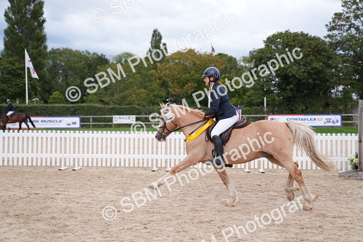 SBM_09357 - J36 Veteran 70cm Championship