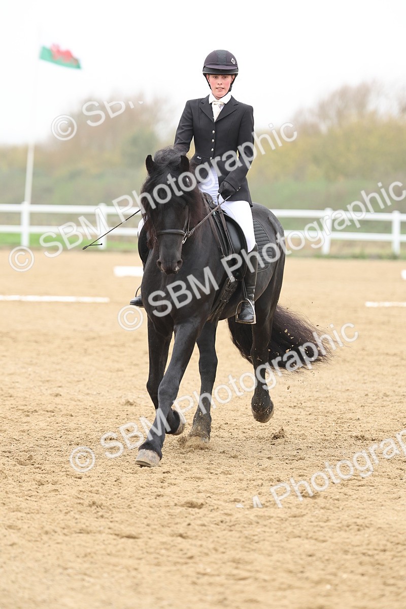 SBM_002558 - Class 5 - Novice 27