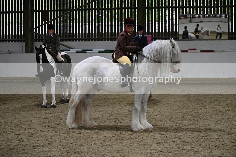 WJ7_4256 - Class 17 Ridden Cob
