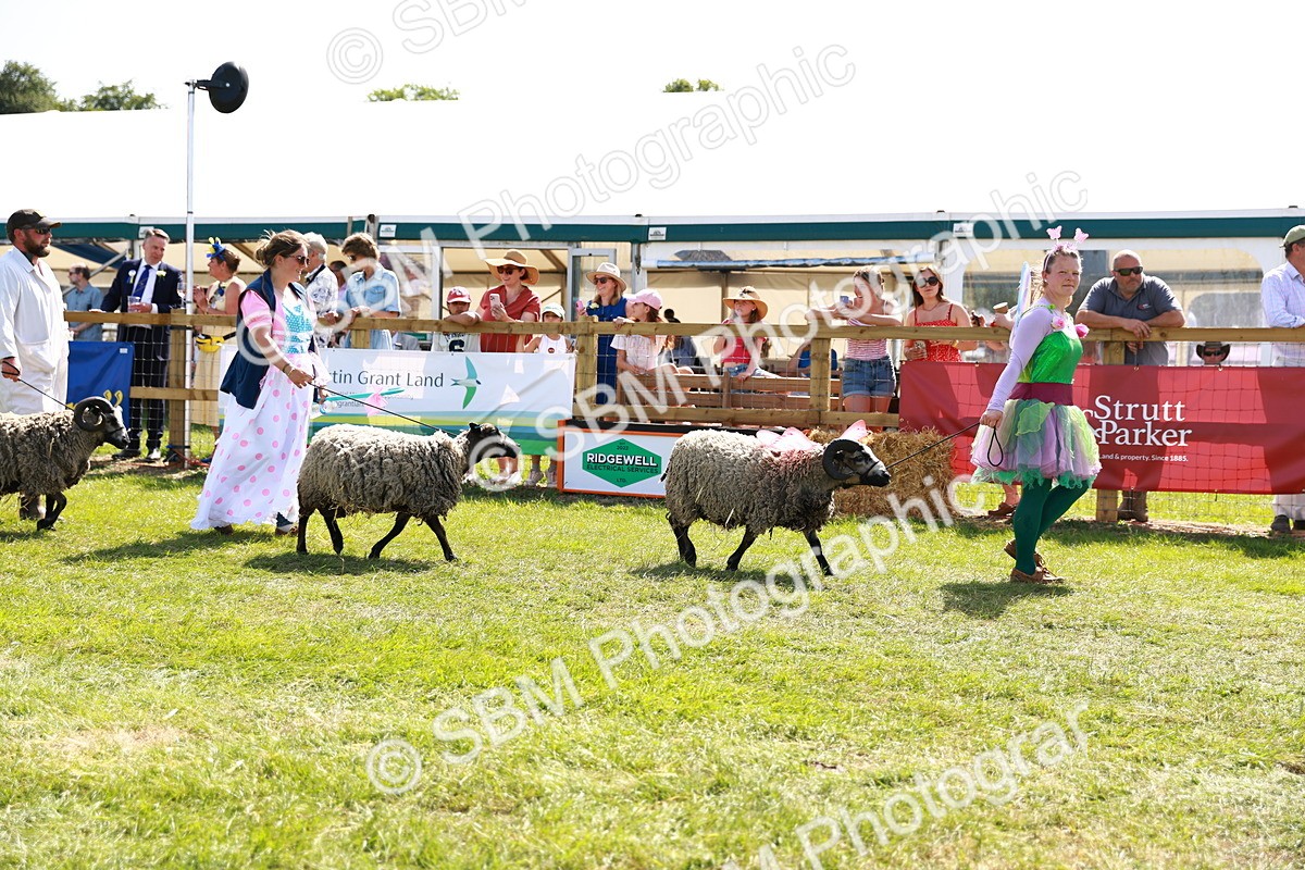 SBM_08410 - Grand Parade