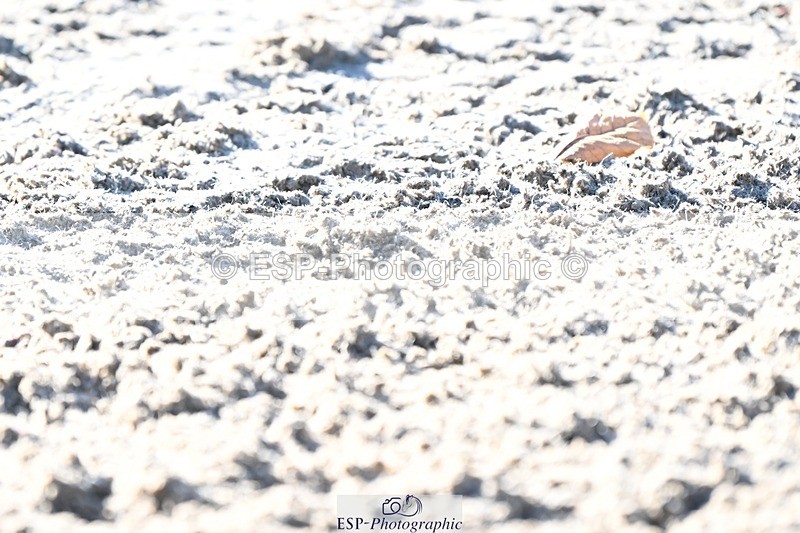 231110-105532-00257 - Cls 2 Prelim 17(a)Q