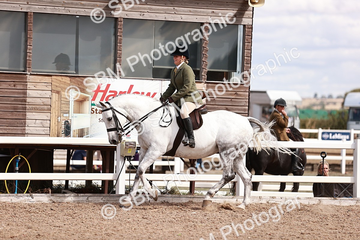 SBM_14453 - Class 410 - Grassroots Ridden - Horse