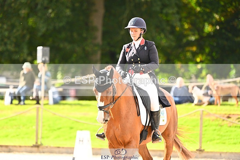 231020-140937-09853 - 305-CHILLI.KNIGHT-Gemma.Stevens-DR
