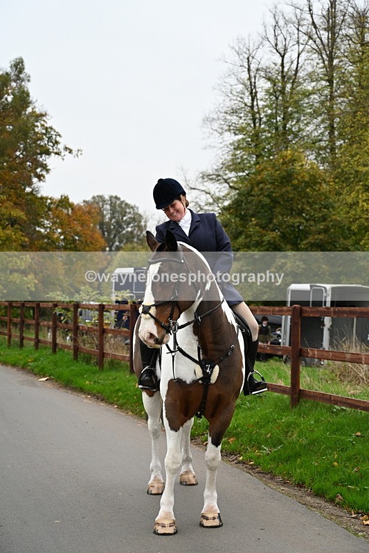 WJ7_7236 - The Meet