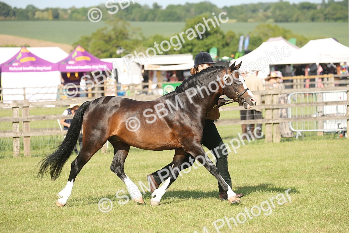 SBM_10384 - Class 33-38 - SSADL RIHS Qualifiers