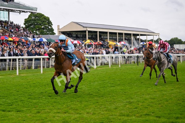 150624-Race 5-The Strikin Viking-7663 - Race 5 4.10pm Reg Griffin Appreciation ebfstallions.com Maiden Stakes