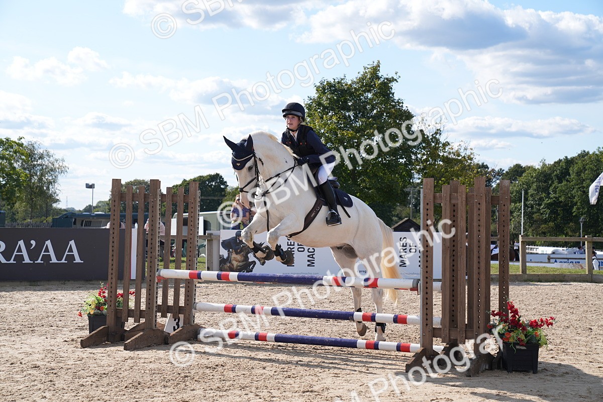 SBM_26037 - J61 - Clear Round 75cm & 85cm