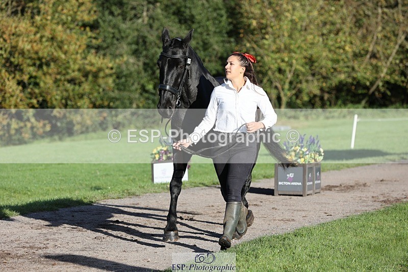 241027-092344-15256 - 357-Eleanor.Newcombe-MR.DARCY