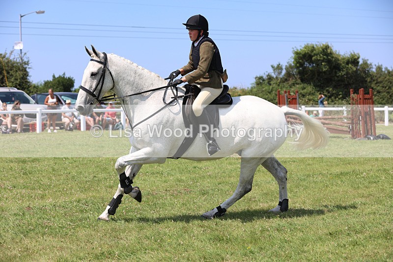 JPP_3170 - Class 22: Working Hunter 70cm