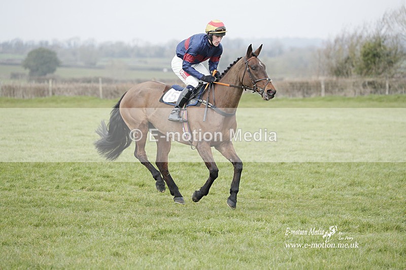PtP 050323 937 - Blackmore & Sparkford Vale Hunt PtP - Somerset 05/03/23